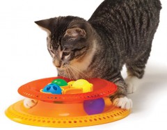 Игрушка для кошек «Трек Kitty's choice» - Фото 2
