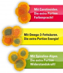 Корм растительный в чипсах для всех видов рыб (10 л) - Фото 2