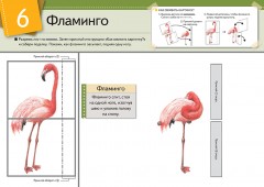 Оживи картинку! Животные - Фото 1
