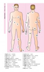 Английский язык в картинках - Фото 1