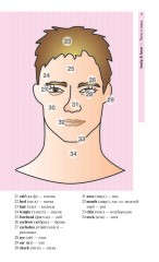 Английский язык в картинках - Фото 2