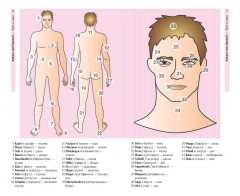 Немецкий язык в картинках - Фото 1