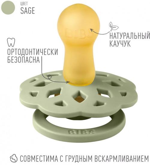 Соска-пустышка