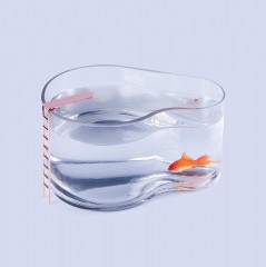 Аквариум «Fishpool» - Фото 1
