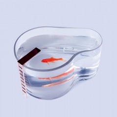 Аквариум «Fishpool» - Фото 2