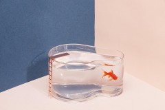 Аквариум «Fishpool» - Фото 5
