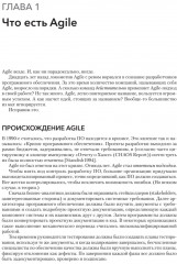 Искусство Agile-разработки. Теория и практика гибкой разработки ПО - Фото 1