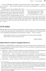 Искусство Agile-разработки. Теория и практика гибкой разработки ПО - Фото 4
