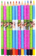 Карандаши цветные «Fans of Earth»,12 цветов - Фото 1