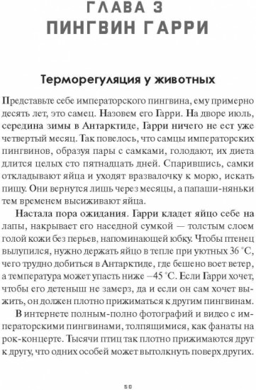 Горячее сердце. Как терморегуляция сделала нас цивилизованными