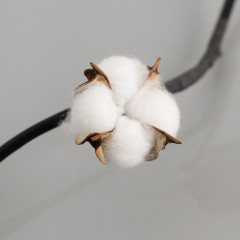 Изделие декоративное «Хлопок» - Фото 1