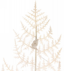 Ветка хвойная «Сосновые шишки» - Фото 2