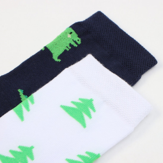 Комплект носков для мальчиков «Дракоши»