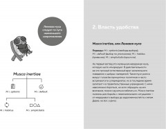Мой мозг мне врёт! Феномен эффекта жужжащей мухи - Фото 4