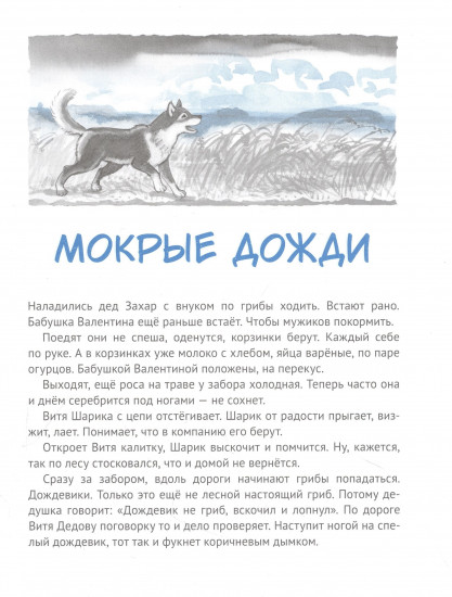 Дедушкины дождики