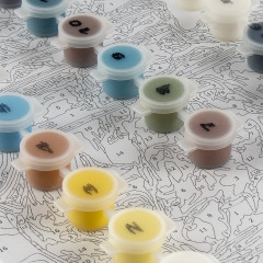 Картина по номерам «В лучах солнца» - Фото 5