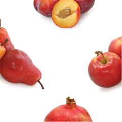 Игра настольная «Шурум-Бурум. Найди половинку» - Фото 2