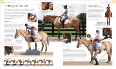 Complete Horse Riding Manual - Фото 2