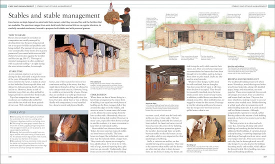 Horse Encyclopedia