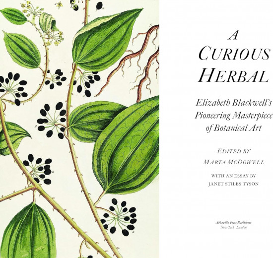 A Curious Herbal