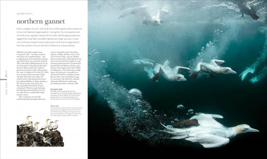 Science of the Ocean