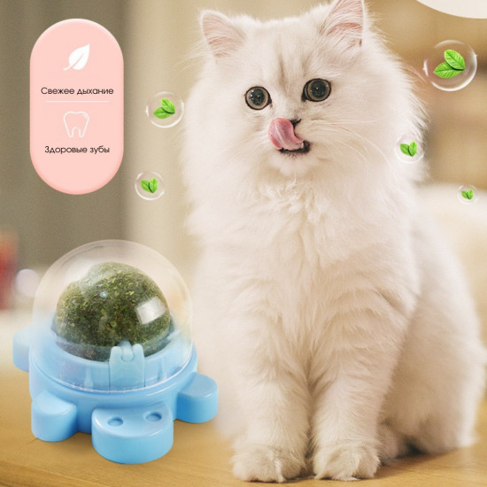 Леденец с кошачьей мятой