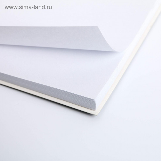 Ежедневник и зарядное устройство (4500 mAh) «Чудесных моментов»