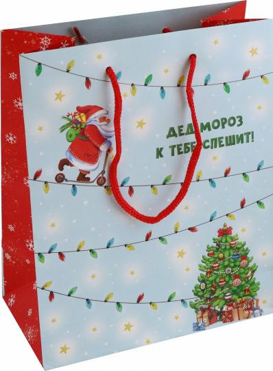 Пакет «Дед мороз к тебе спешит!»