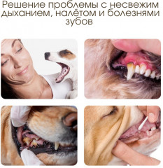 Набор для ухода за зубами животных: зубная паста, зубная щетка, напальчник - Фото 3