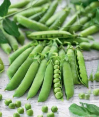 Горох сахарный «Вкусный стручок» - Фото 2