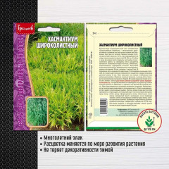 Семена «Хасмантиум широколистный» - Фото 1