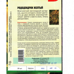 Рододендрон желтый - Фото 1