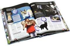 Гиннесс. Мировые рекорды 2012 - Фото 1