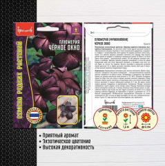 Плюмерия «Черное окно» - Фото 1