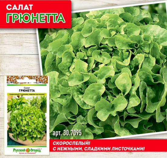 Салат листовой «Грюнетта»