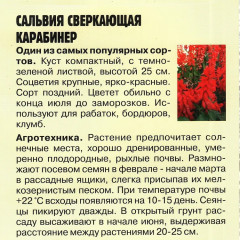 Сальвия «Карабинер» - Фото 2
