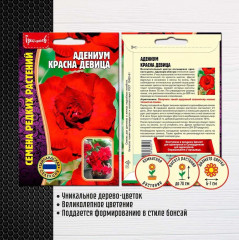Адениум «Красна девица» - Фото 1