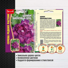 Адениум «Фиолетовый город» - Фото 1