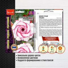 Адениум тучный «Гвоздики» - Фото 1