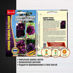Адениум тучный «Siam blueberries» - Фото 1