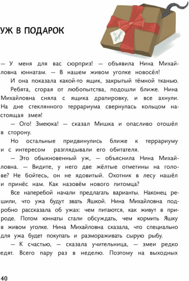 Пират в сиреневых тонах