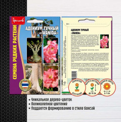 Адениум тучный «Siam blueberries» - Фото 1