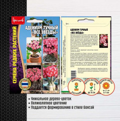 Адениум тучный «Все звёзды» - Фото 1