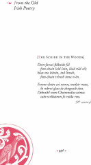 Записки переводчика-рецидивиста - Фото 4