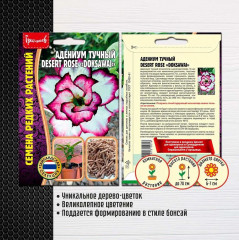 Адениум тучный desert rose «Doksawai» - Фото 1