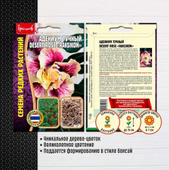 Адениум тучный desert rose «Raksikon» - Фото 1