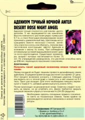 Адениум тучный desert rose «Ночной ангел» - Фото 1