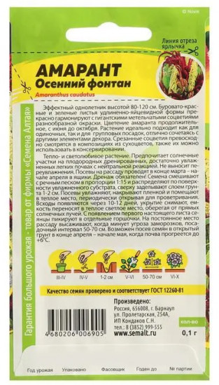 Амарант «Осенний фонтан»