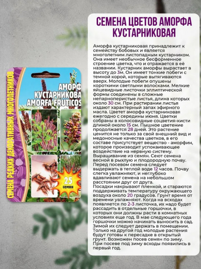 Аморфа кустарниковая