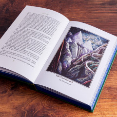 The Hobbit: Illustrated by the Author - Фото 4